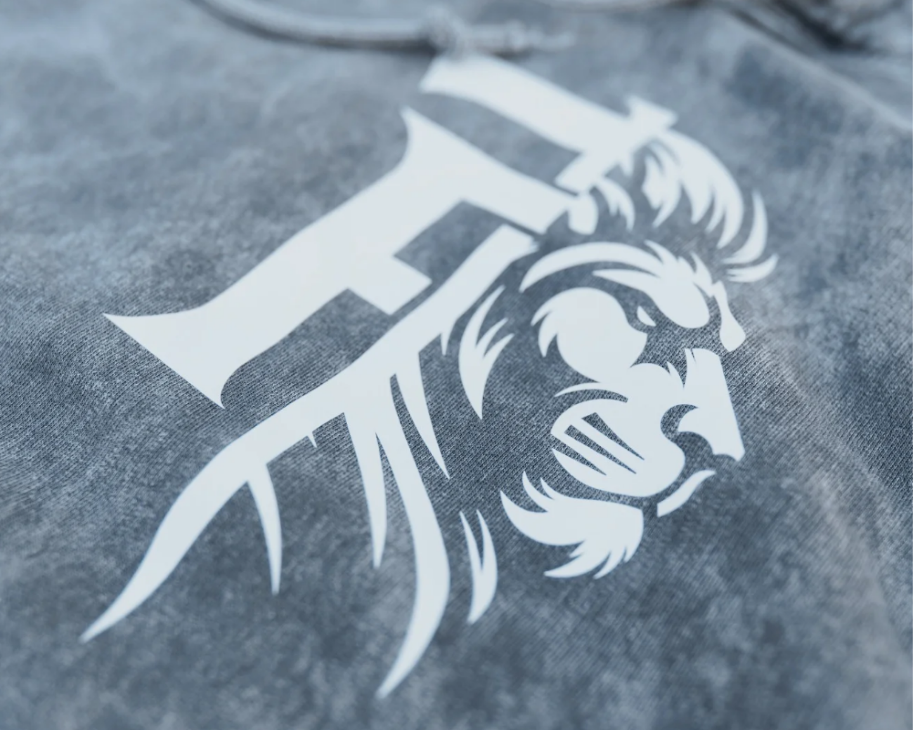 Lion's Den - White Stone Hoodie | Tested Faith®